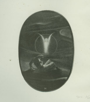 Visualizza l'immagine "Vol. Z 174, tav. 16"